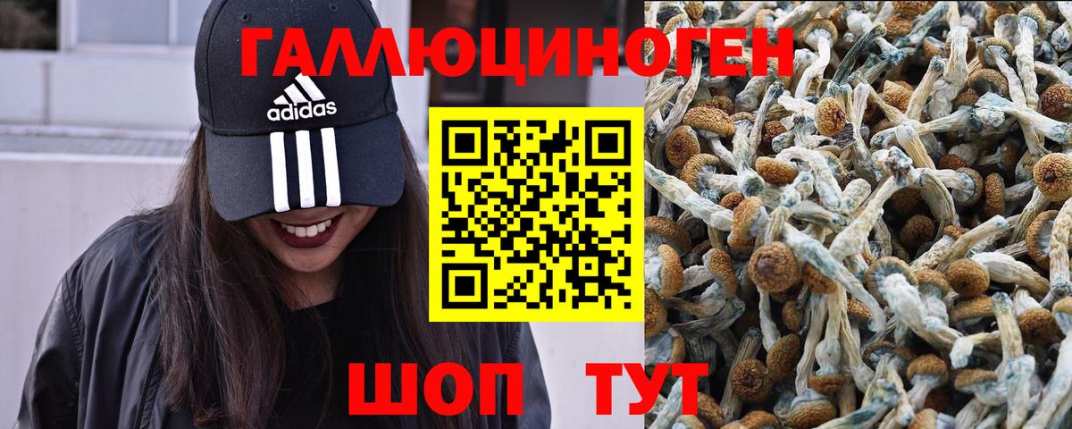 Псилоцибиновые грибы Psilocybine cubensis  Вход с VPN  хочу   Саянск  Галлюциногенные грибы MAGIC MUSHROOMS 